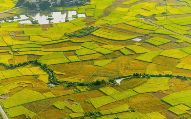 Mai Chau: 2-Day Tour with Local Ethnic Delicacies - Discovering Mai Chau: A 2-Day Cultural Adventure