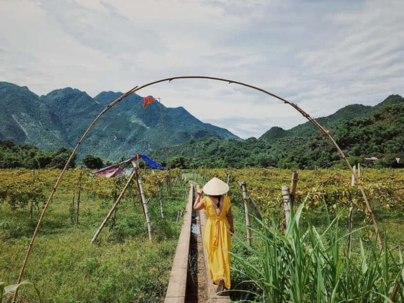 Mai Chau 2 Days 1 Night | From Hanoi - The Sum Up: Who Should Consider This Tour?
