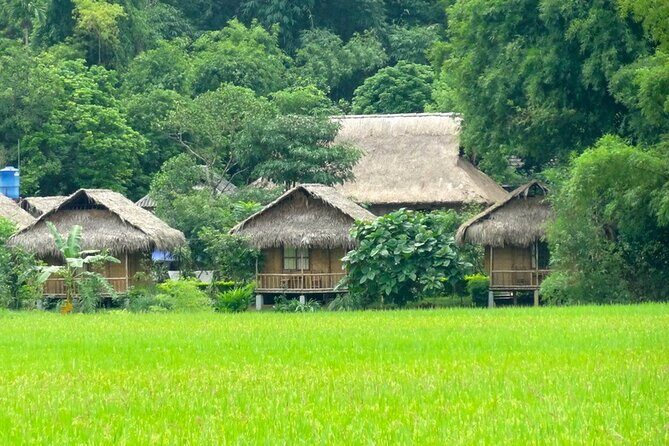Mai Chau Full Day Tour From Hanoi - Discover Vietnam’s Heartland with the Mai Chau Full Day Tour From Hanoi