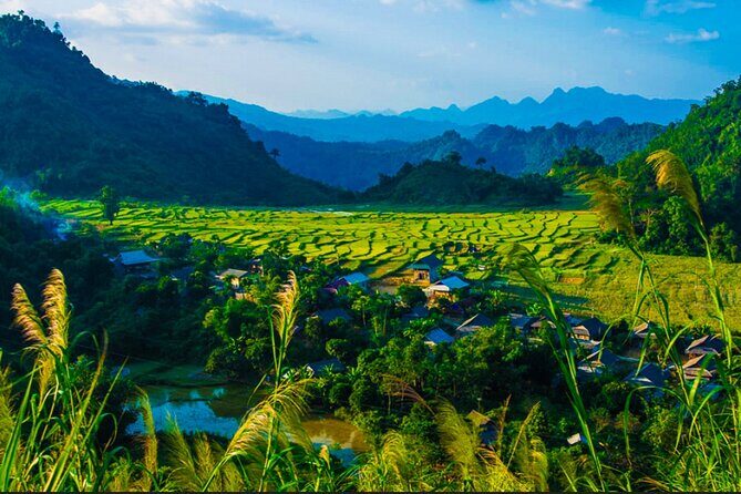 Mai Chau Full Day Tour From Hanoi - An In-Depth Look at the Mai Chau Full Day Tour