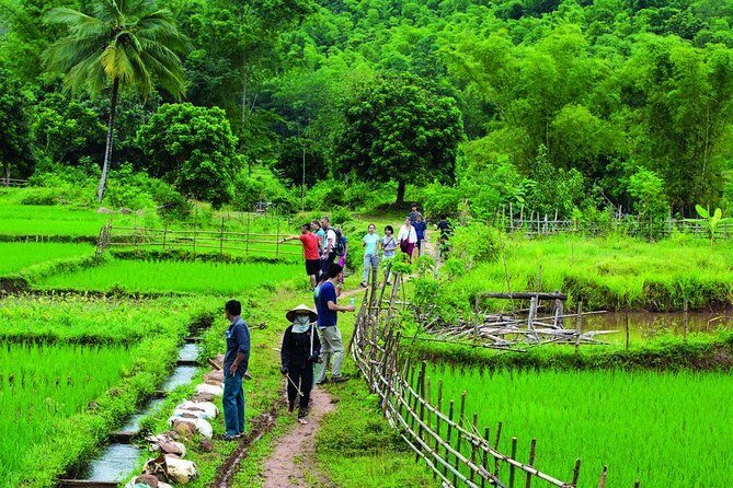 Mai Chau Getaway 1 Day from Hanoi - Small Group - Limousine bus - Key Points