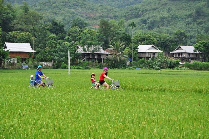 Mai Chau Nature and Village Private Day Tour - Who Will Love This Tour?