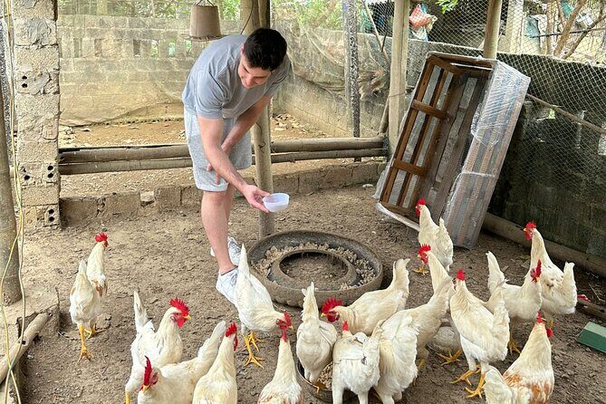 Mai Chau & Pu Luong 2D1N: Nature,Culture,Local Village Experience - A Deep Dive into the Experience