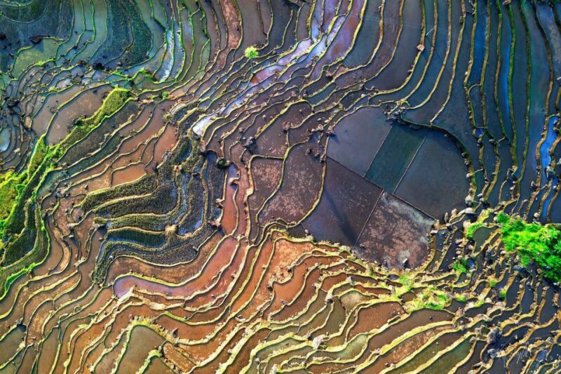 Mai Chau Pu Luong 3 days 2 nights tour - sale off 15% - Food and Cultural Experiences