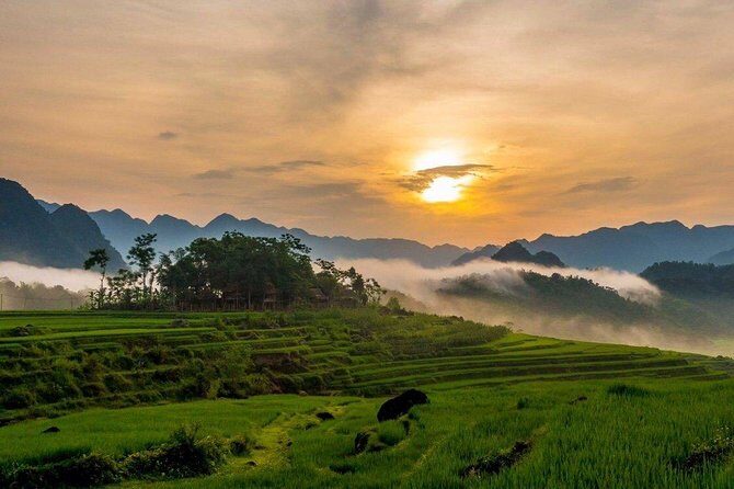 Mai Chau to Pu Luong 3-Day Tour from Hanoi - A Deep Dive Into the 3-Day Adventure