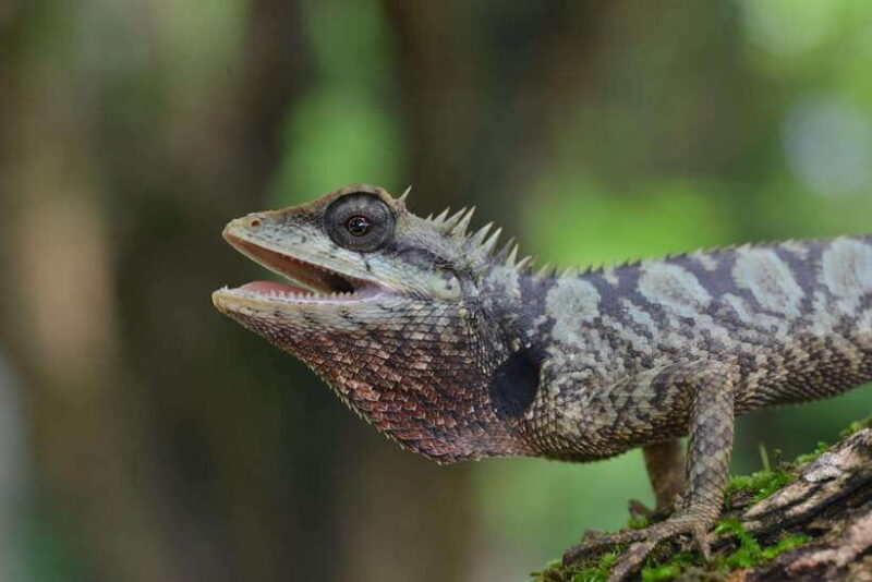 Mai Chau Valley Cycling Hiking To Chieu Cave Tour From Hanoi - Final Thoughts