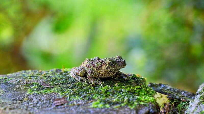 Mai Chau Valley Cycling Hiking To Chieu Cave Tour From Hanoi - Frequently Asked Questions