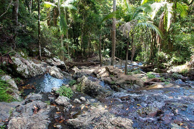 Maiala Rainforest Tour - Final Thoughts: Is It Worth It?