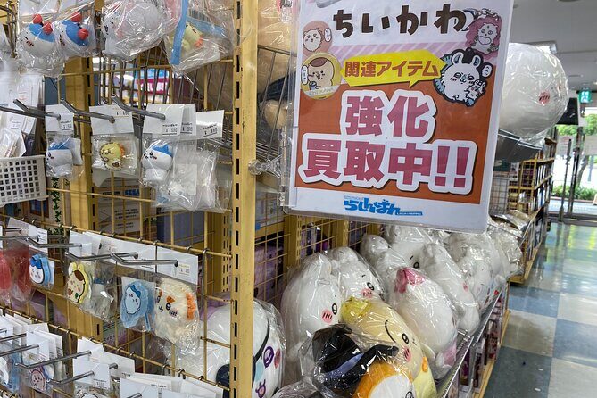 Maid & Magic: Akihabaras Ultimate Otaku Tour - Final Thoughts