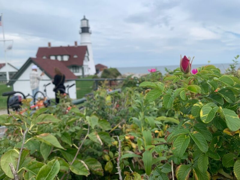 Maine Coast: Bicycle Rentals - In-Depth Breakdown of the Experience