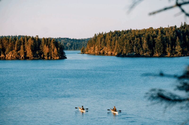 Maine: Half-Day Single Kayak Rental - An In-Depth Look at the Kayak Rental Experience