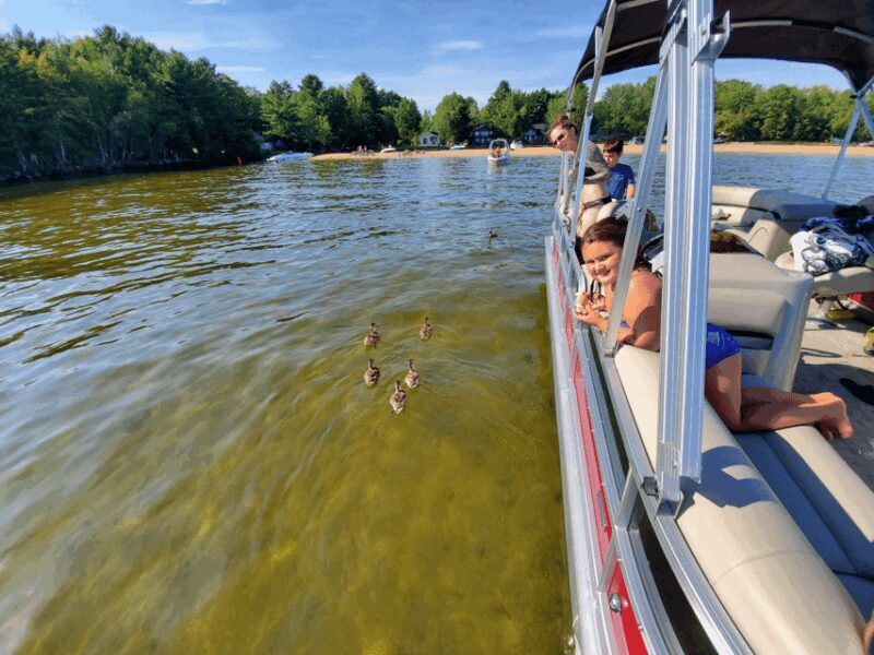 Maine: Penobscot Downriver Boat Rides - What Travelers Say