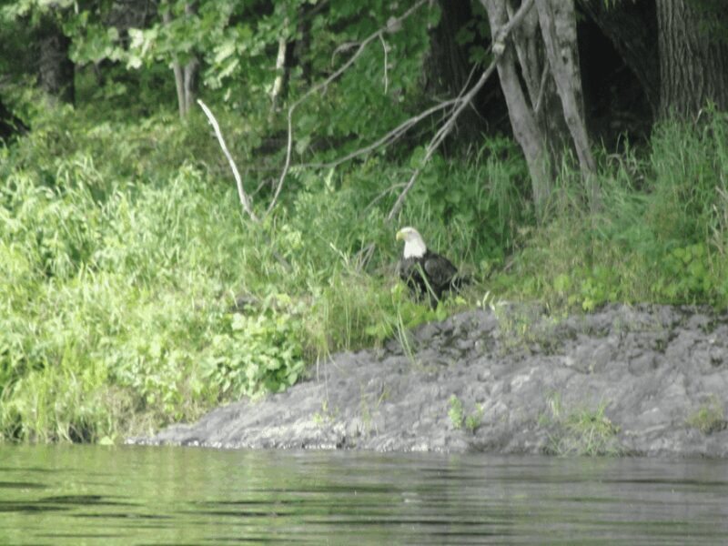 Maine: Penobscot River Private Charter Boat Ride - Frequently Asked Questions