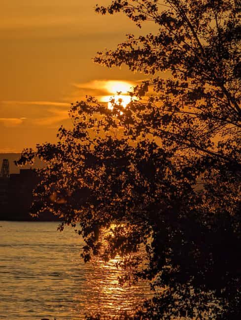 Mainz: guided evening tour of the Rhine riverbank/old town in German and English - The Itinerary and Sights in Detail