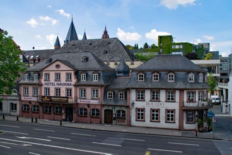 Mainz: Private Walking Tour With Professional Guide - FAQ