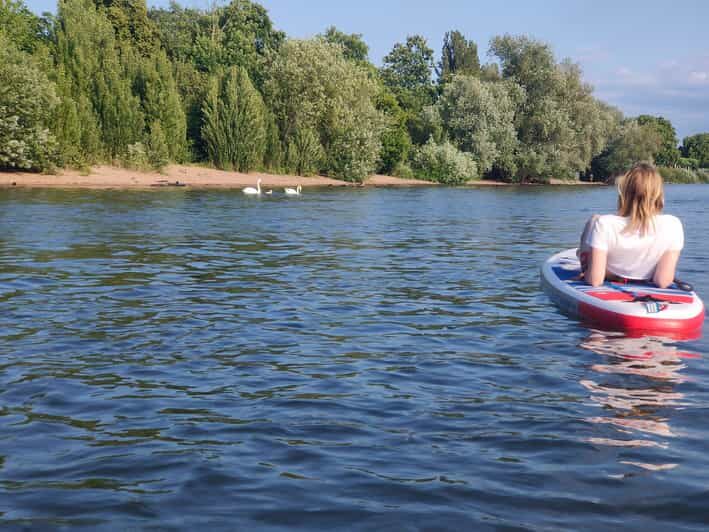Mainz: Stand Up Paddling Tour on the Rhine River - Exploring Mainz from the Water: A Detailed Review