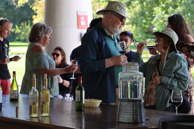 Maipo Valley Top Wineries Private Tours and Tastings from Santiago - What Makes This Tour Stand Out?