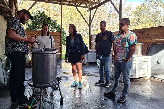 Maipo Valley Wine Tour with 4 vineyards from Santiago. - Who is This Tour Perfect For?