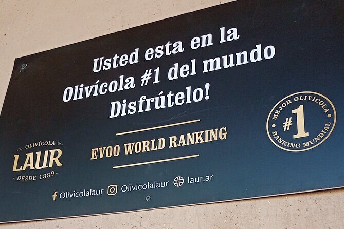 Maipú Wine and Olive Oil Tour - Key Points