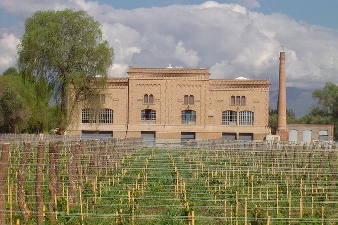 Maipú Wine-Tasting Tour from Mendoza Including Trapiche Winery - Frequently Asked Questions