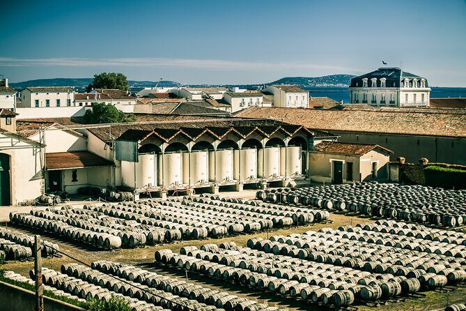 Maison Noilly Prat VIP tour, wine and vermouth tastings - Discover the Maison Noilly Pratt VIP Tour: A Blend of History, Craftsmanship, and Tasting