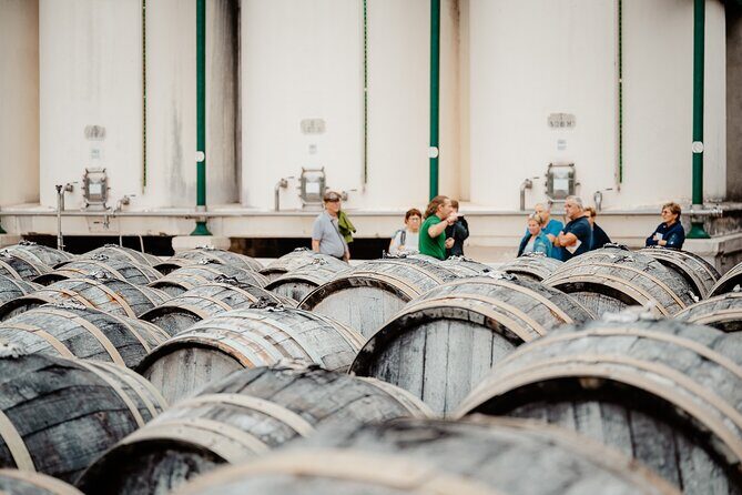 Maison Noilly Prat VIP tour, wine and vermouth tastings - Key Points