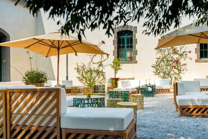 Maison Noilly Prat VIP tour, wine and vermouth tastings - The Sum Up: Why It’s a Great Choice