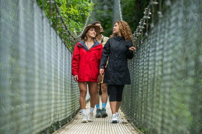 Majestic Arenal Volcano(Boat, Rainforest, Hot Springs) Guanacaste - Key Points