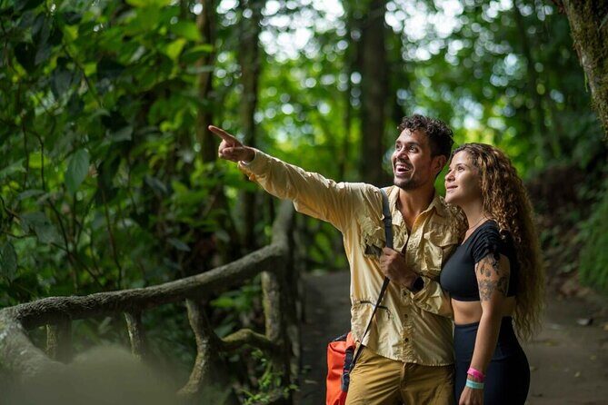 Majestic Arenal Volcano(Boat, Rainforest, Hot Springs) Guanacaste - The Sum Up: Is It Worth It?