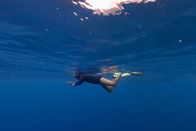 Majestic Encounter Respectful Whale Watching - Final Thoughts