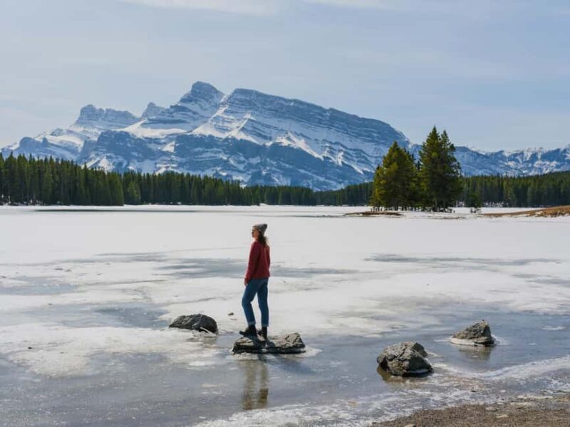 Majestic Icefield Private Day Tour from Calgary - The Sum Up