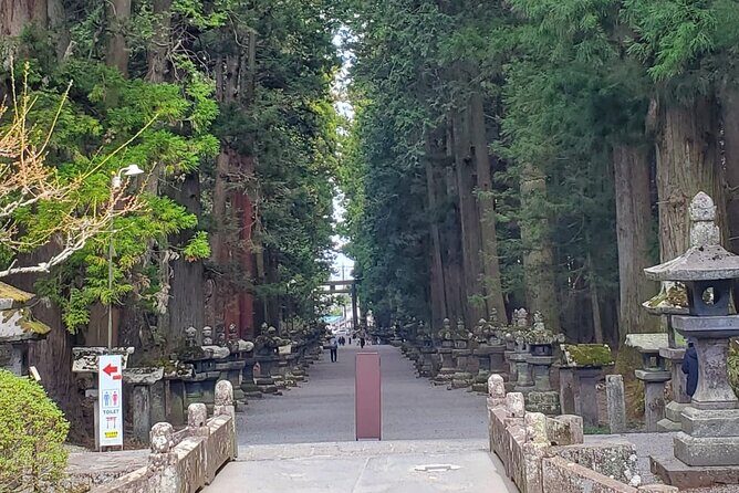 Majestic Mt. Fuji & Hakone Retreat A Private Day Tour from Tokyo - Key Points