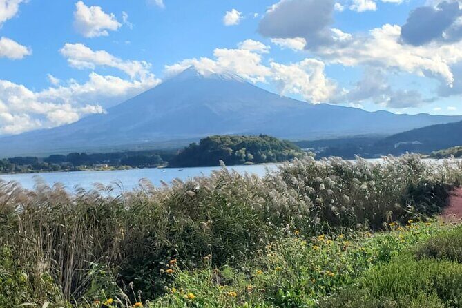 Majestic Mt. Fuji & Hakone Retreat A Private Day Tour from Tokyo - Why Choose This Tour?