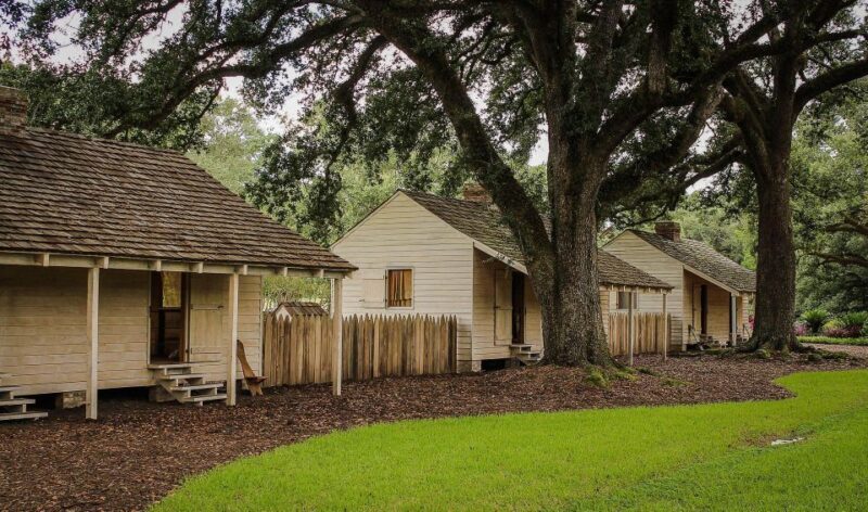 Majestic Oak Alley Plantation Tour - An Authentic Southern Experience: What You Can Expect