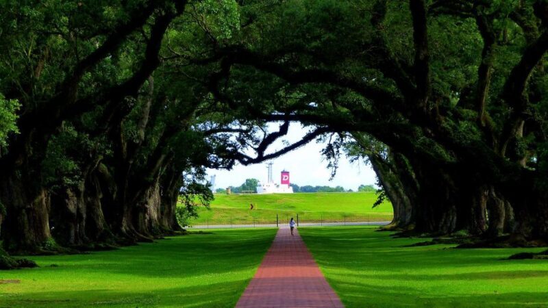 Majestic Oak Alley Plantation Tour - A Deep Dive into the Experience