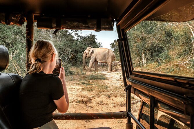 Majestic Sri Lanka in 13 Days All Inclusive VIP Tour by Sithiyam - Who Will Love This Tour?