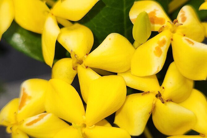 Majestic Waterfall Tour - Key Points