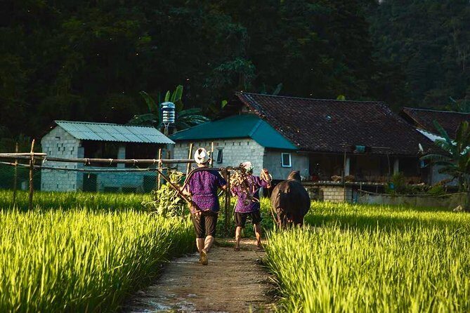 Majesty Of Untouched Northern Vietnam Tour 6 Days - FAQ