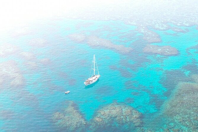 Major Tom -Sailing Day Cruise, with Snorkeling & Lunch - Key Points