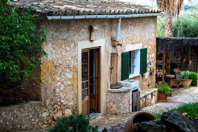 Majorca Winery Visit with Wine & Local Food Tasting from East - A Deep Dive into the Majorca Winery Experience
