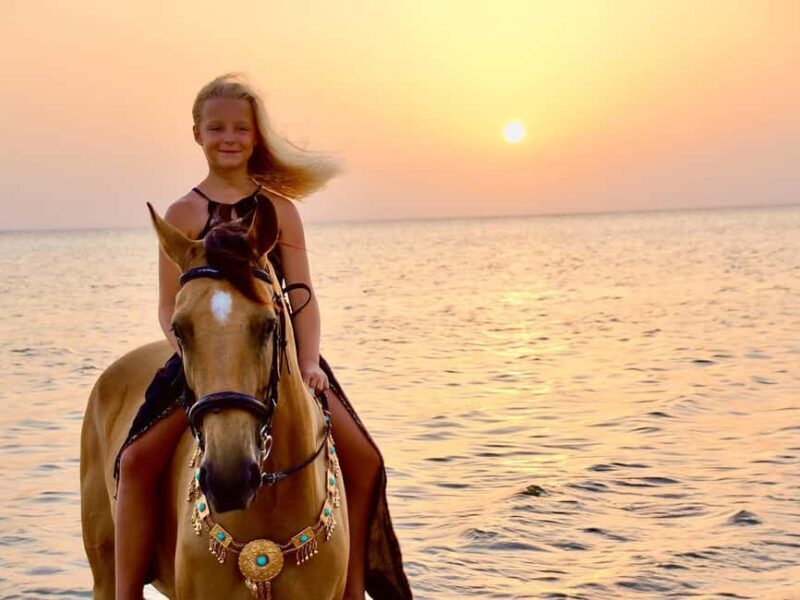 Makadi Bay: Horse Riding in Desert & Sea w Guide + Transfers - Makadi Bay: Horse Riding in Desert & Sea with Guide + Transfers — A Practical Review