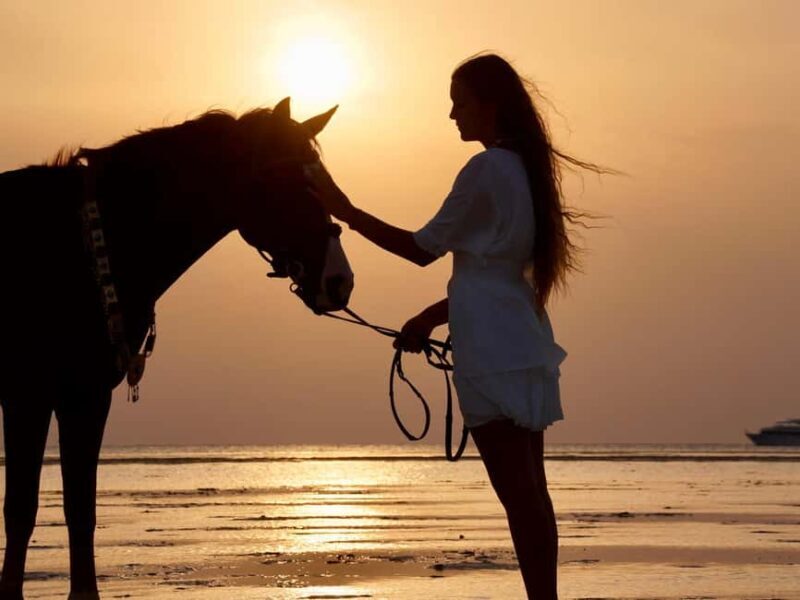 Makadi Bay: Horse Riding in Desert & Sea w Guide + Transfers - Why This Tour Is Worth Considering