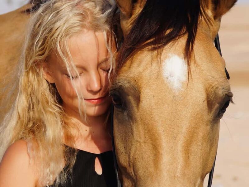 Makadi Bay: Horse Riding in Desert & Sea w Guide + Transfers - Practical Details & Tips