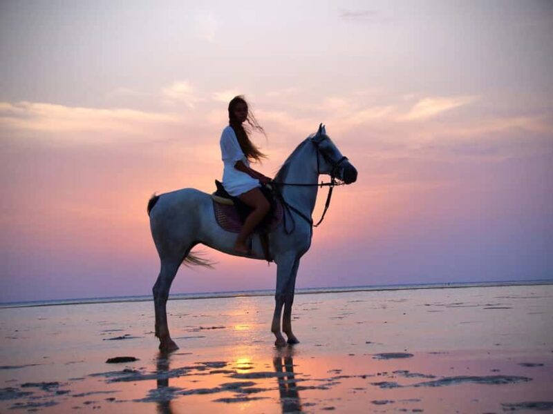Makadi Bay: Horse Riding in Desert & Sea w Guide + Transfers - Frequently Asked Questions