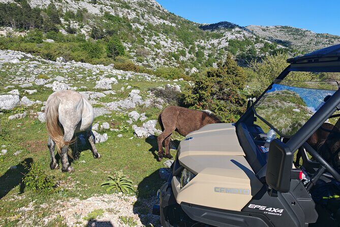 Makarska: Baggy Skywalk & Biokovo viewpoint Tour - The Sum Up
