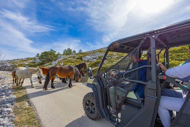 Makarska: Baggy Skywalk & Biokovo viewpoint Tour - What Makes This Tour Stand Out