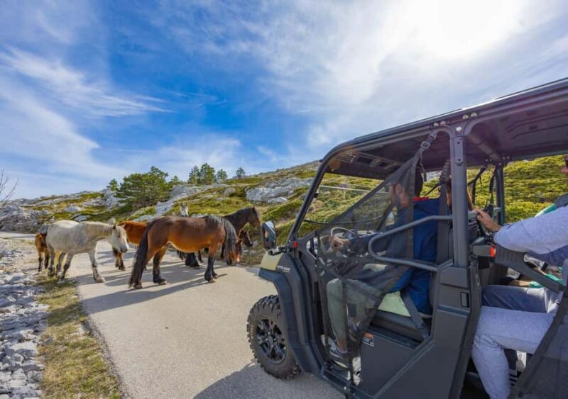 Makarska: Baggy Skywalk & Biokovo Viewpoint Tour - Key Points