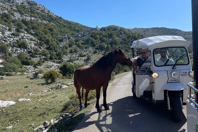 Makarska: Skywalk Tour with a Tuk Tuk - Skip the line ticket - The Cost: Is It Worth It?