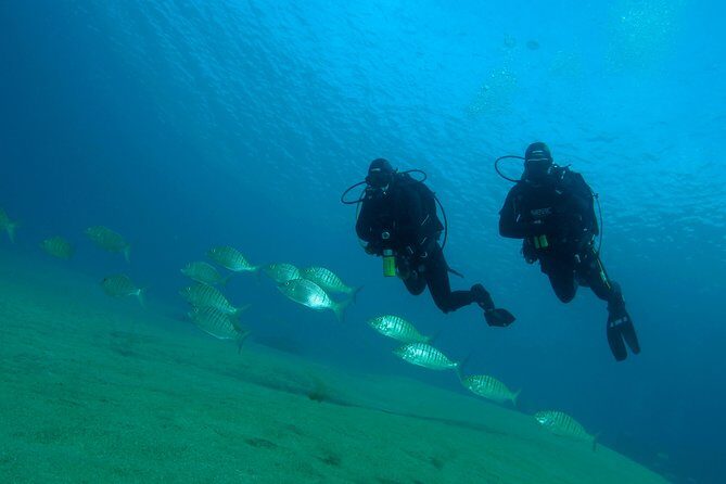 Make a private Try Dive, for your first Scuba experience! - FAQ