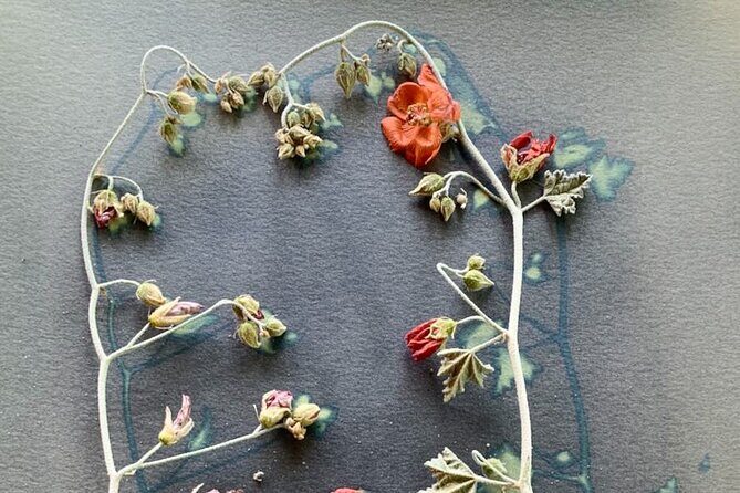 Make Sun Prints in the Desert - The Sum Up